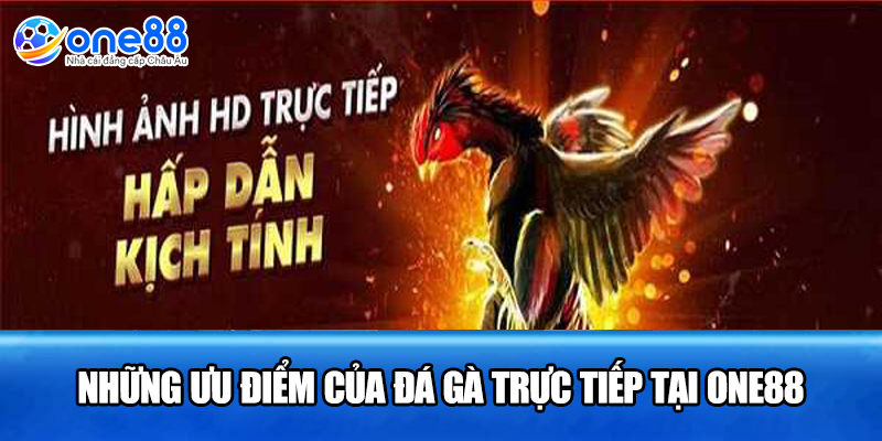 Những ưu điểm của đá gà trực tiếp tại ONE88